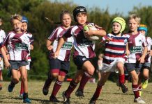 Sign up to be a Dolphin