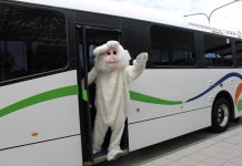 Free Easter buses: don’t be a bunny