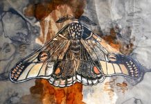 Art sourced in nature