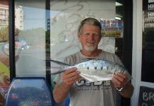 Keep an eye out for bird activity