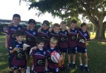 Little Dolphins step up