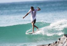 Shark scare a false alarm