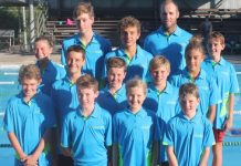 Dolphins score ‘A’ for effort