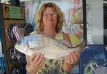 A bit of rain will soon have the crabs on the move!