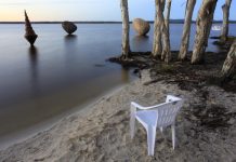 Breakfast laced with art