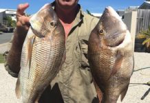 Noosa’s off shore scene is really firing