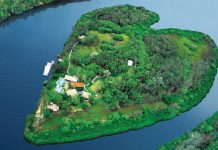 Target market brings in dollars