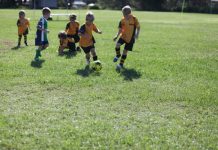 Max stars for Noosa Eagles