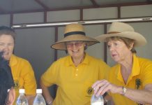 Lions’ pride in 50th anniversary