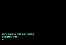Nick Cave and The Bad Seeds – Skeleton Tree