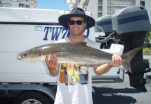 Good conditions for offshore adventure