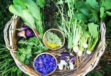 Elite celebration of produce