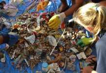 Diverse groups in clean-up