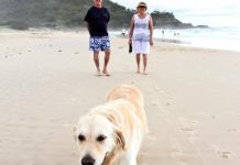 Off-leash law in operation