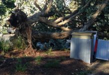 Debbie’s aftermath