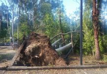 Patience post-Debbie