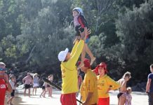 Seahorses celebrate fifth birthday