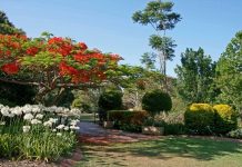 Gardens master plan planted