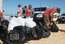 Hatchlings get a helping hand to make it in the big wide world