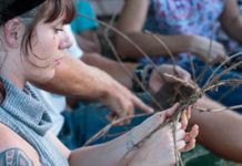 Earth Hour milestone marked with lantern parade