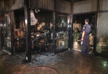 Dull walls spring to life