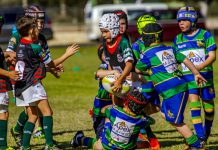 Dragons hit their peak