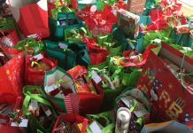 Buddies on board for basket goodness