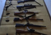 Guns seized as police, Border Force swoop