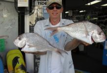 Big Spanish mackerel on the chew!