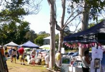 All eyes on Pomona for winter arts fest