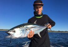Good sized snapper on southern reefs