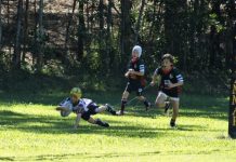 Noosa Dolphins in winning streak