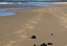 It’s none of our business, but…