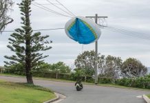 They’re free to fly