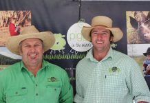 Sun shines on Noosa market