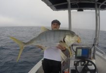Cooler weather is great for offshore fishing!