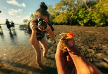 Wildlife captured in habitat