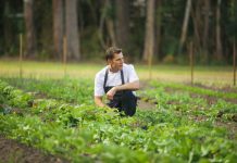 Lunch with four of the best