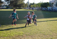 Big win for little Dolphins