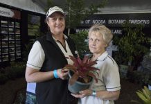 Experts share green-thumb tips