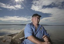 Depletion of oysters: unfounded claims