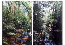 Diversity II on display