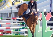 Top showjumpers in action at Nambour
