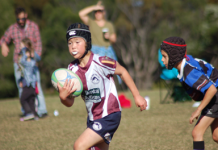 Dolphins show their colours