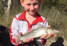 Another great offshore weekend!