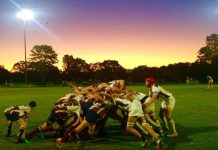 Dolphins take on English grammar school