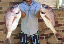 Winter is the time to focus on snapper