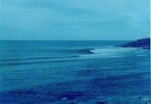 On the book stump again