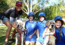 Smart pups learning the ropes