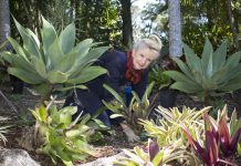 Cash, kind and time for hospice